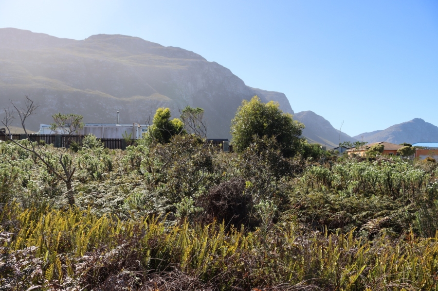 0 Bedroom Property for Sale in Bettys Bay Western Cape
